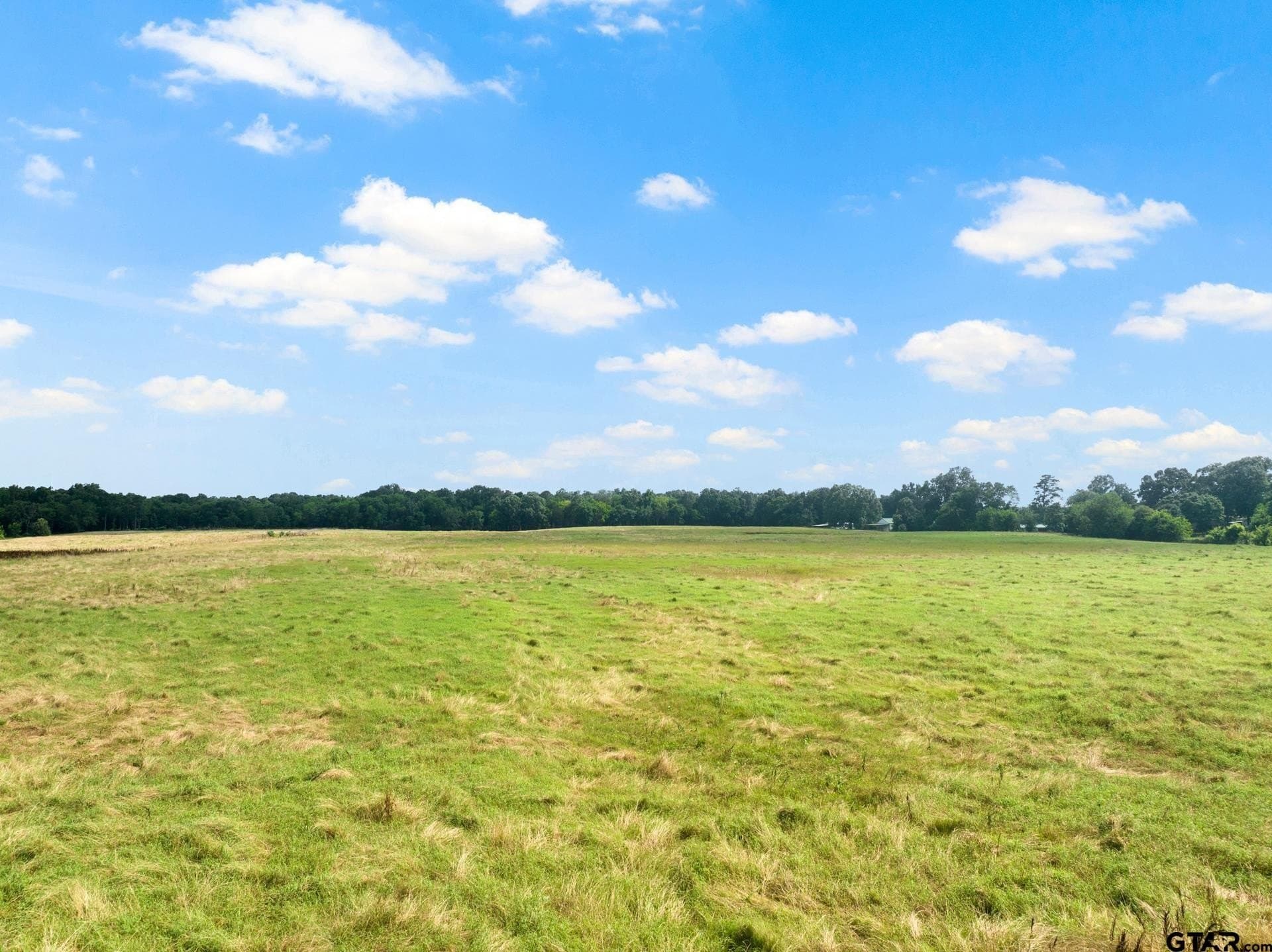 11 acres in Titus County featured view