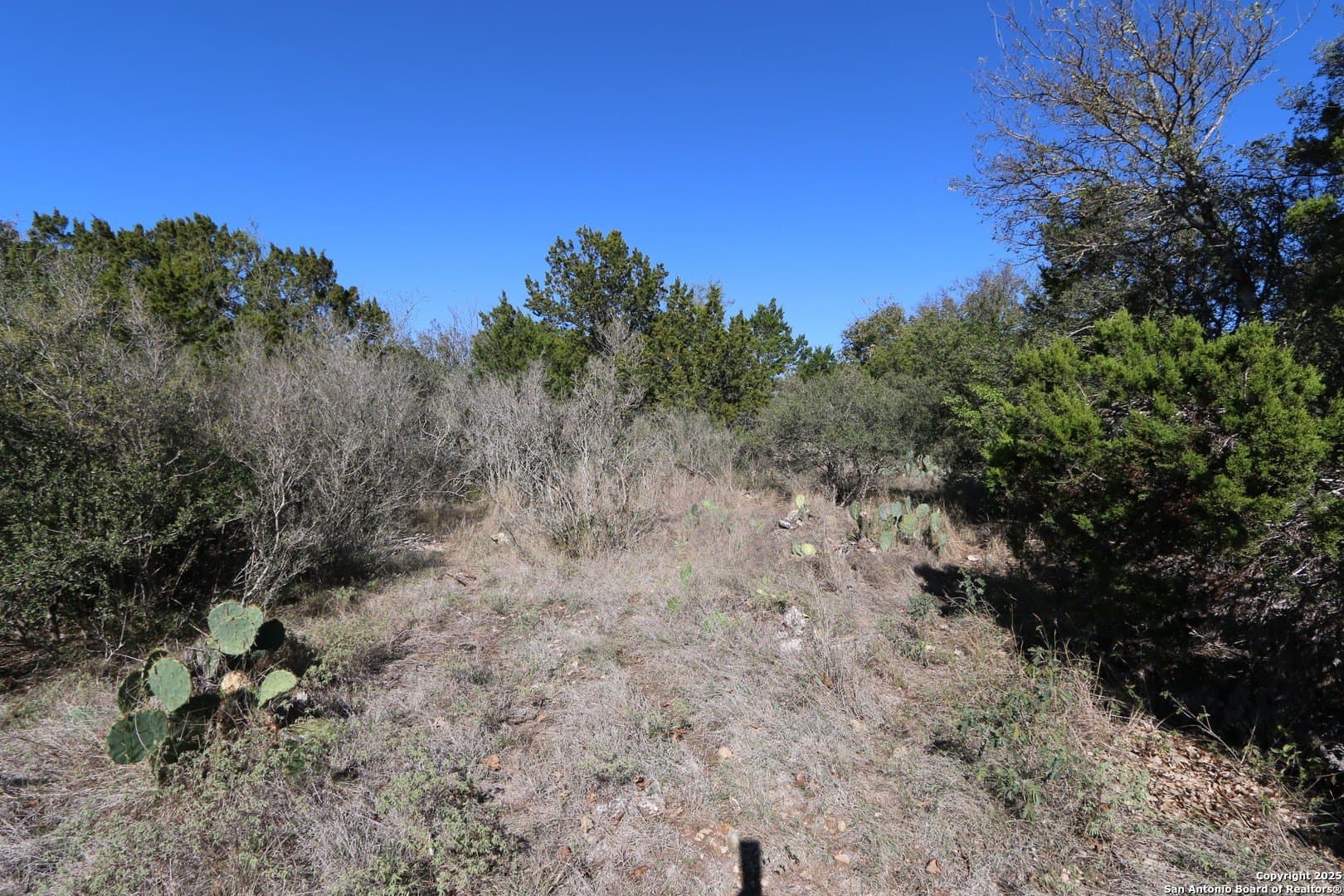 1 acres in Bexar County - photo 6