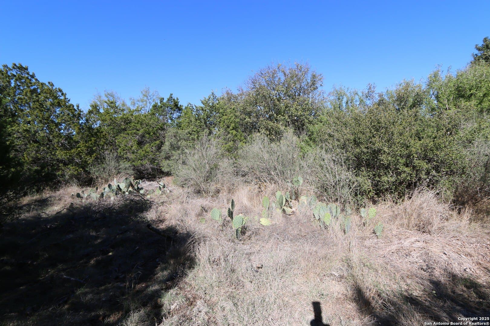 1 acres in Bexar County - photo 7