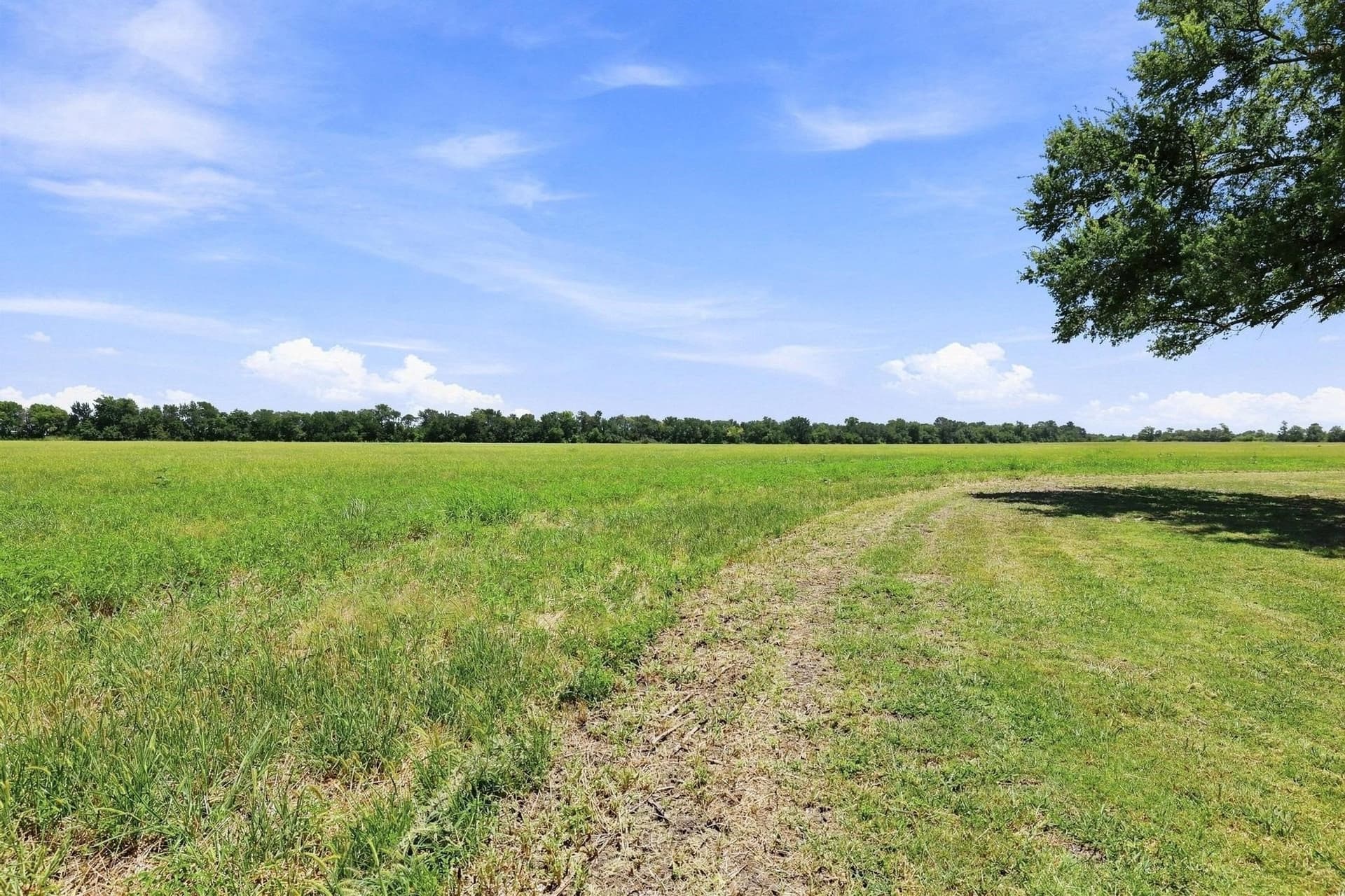 37.12 acres in Collin County - photo 7