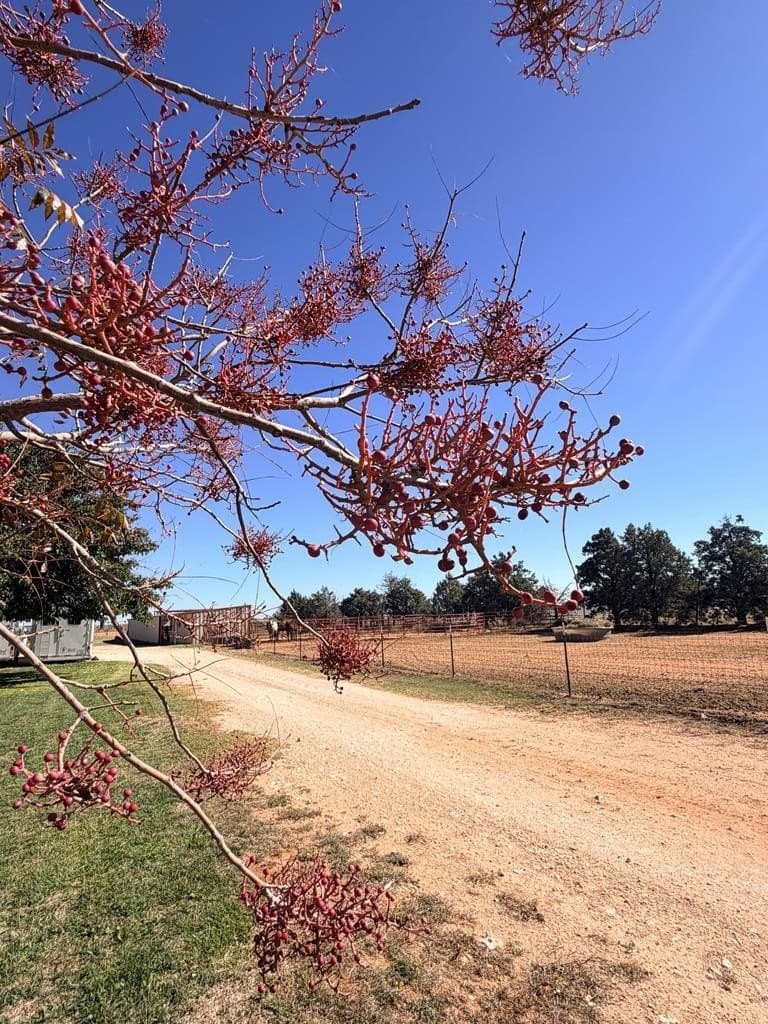12.94 acres in Gaines County - photo 48
