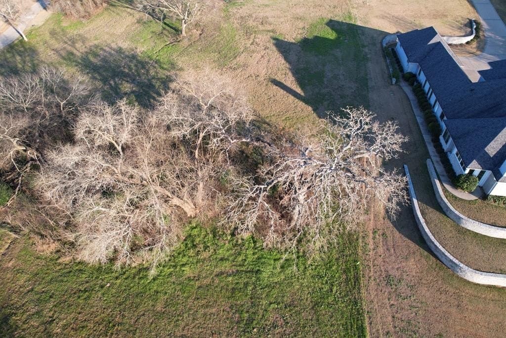 1 acres in Henderson County gallery image 3