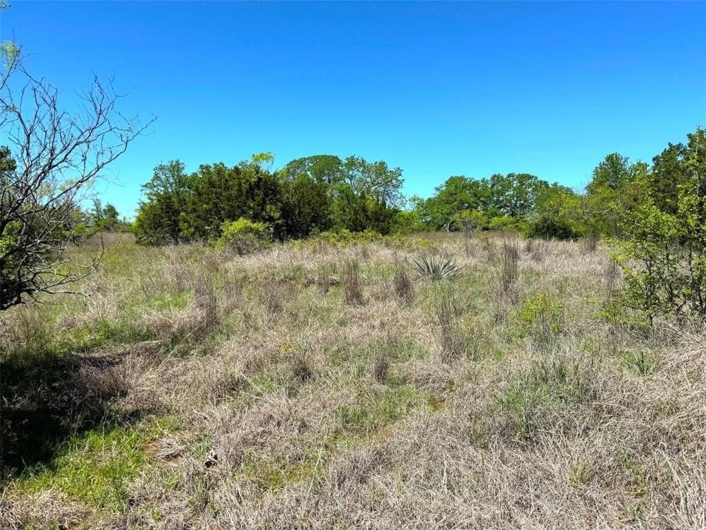 50 acres in Parker County gallery image 2