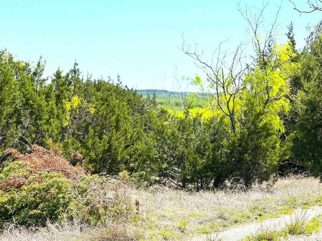 50 acres in Parker County gallery image 4