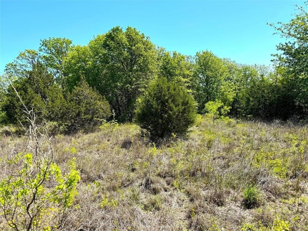 50 acres in Parker County gallery image 3