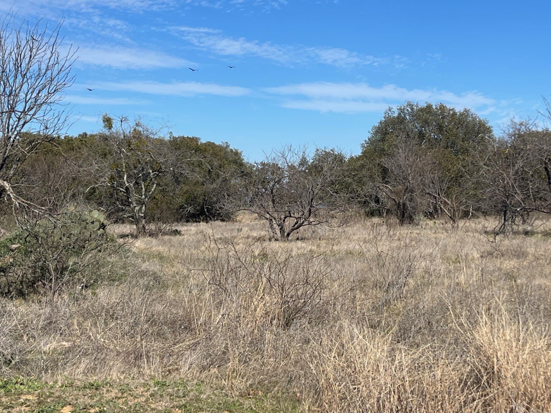 0.34 acres in Brown County gallery image 3