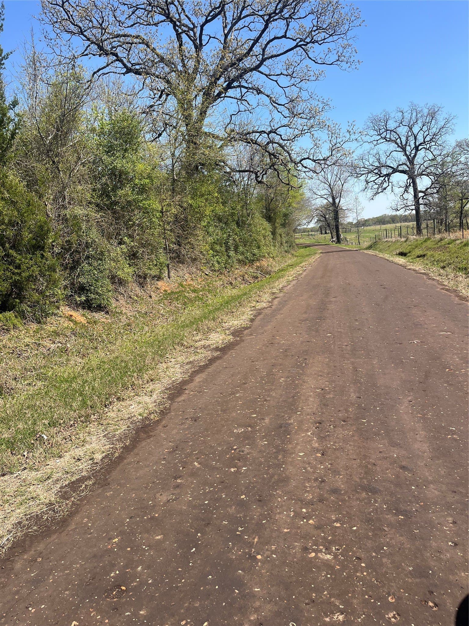 93 acres in Leon County - photo 2