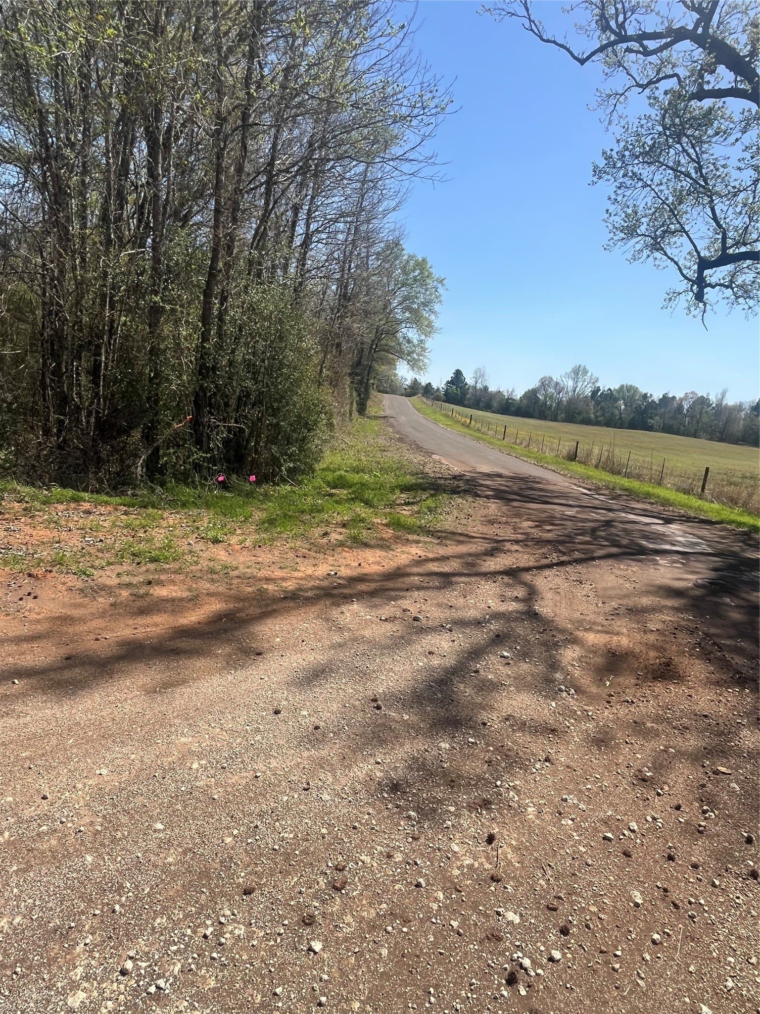 93 acres in Leon County - photo 3