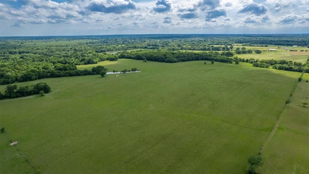 157.33 acres in Delta County gallery image 4