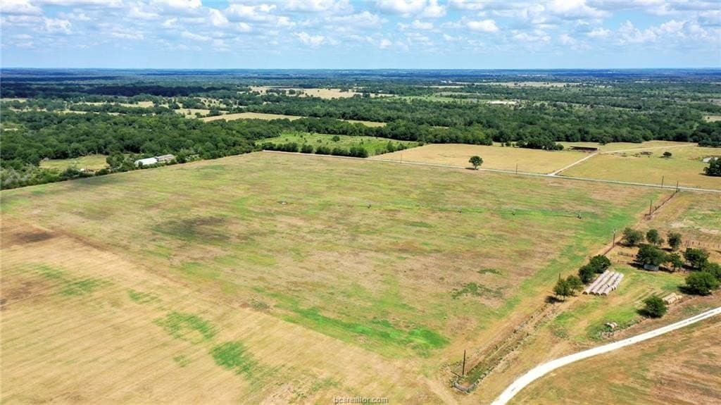 523.41 acres in Robertson County - photo 6