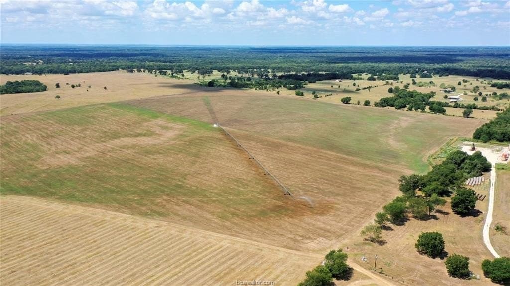 523.41 acres in Robertson County - photo 23