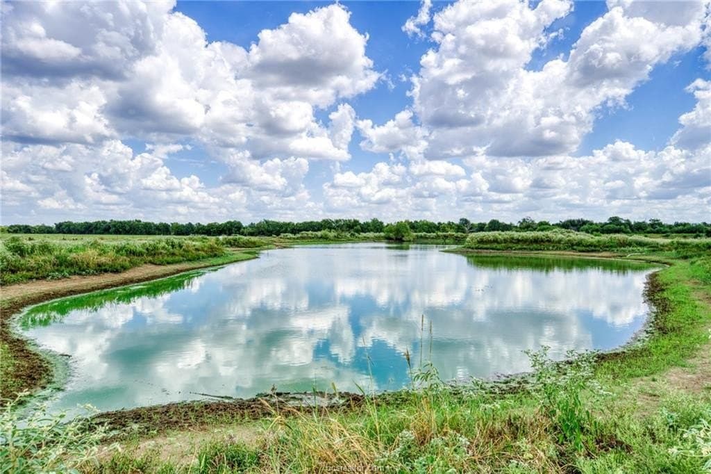 523.41 acres in Robertson County - photo 12