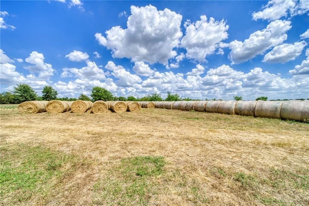 523.41 acres in Robertson County - photo 33