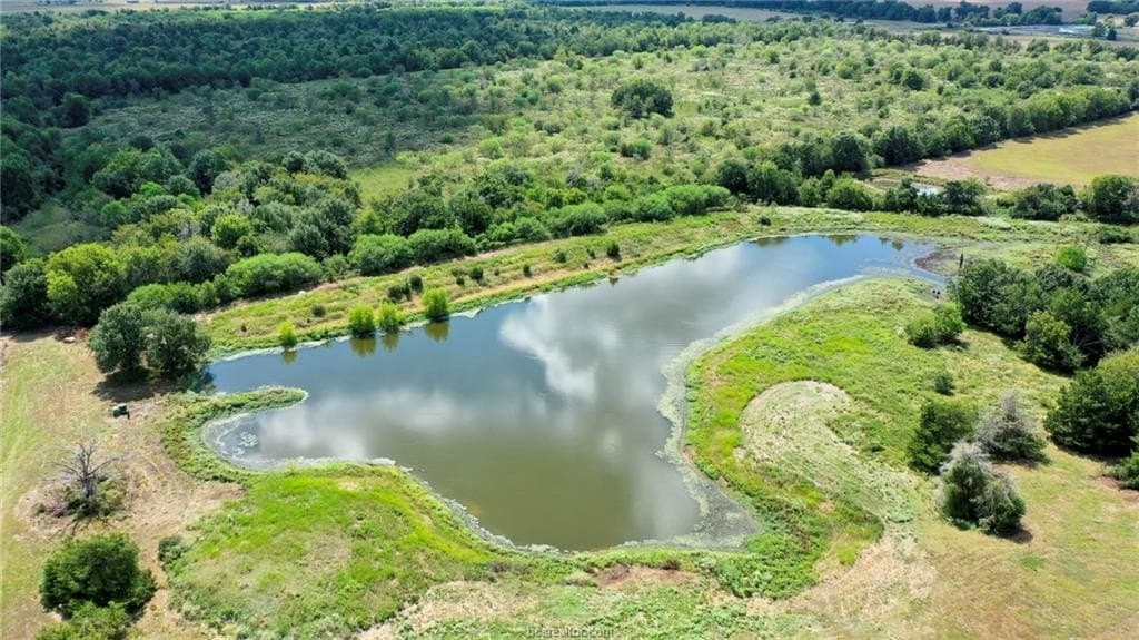 523.41 acres in Robertson County - photo 13
