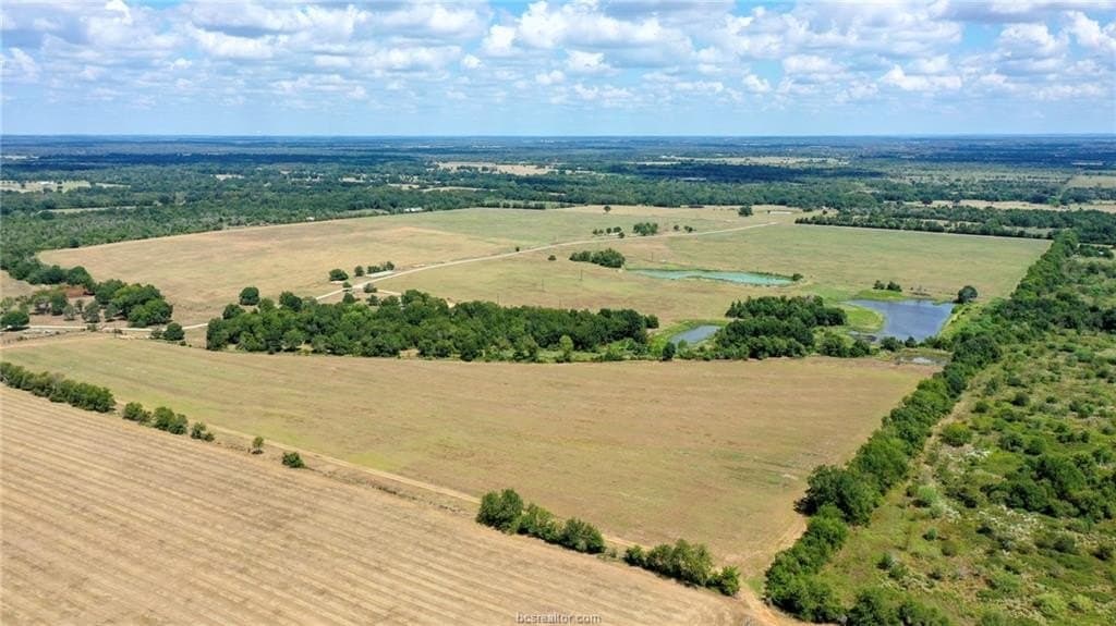 523.41 acres in Robertson County - photo 9