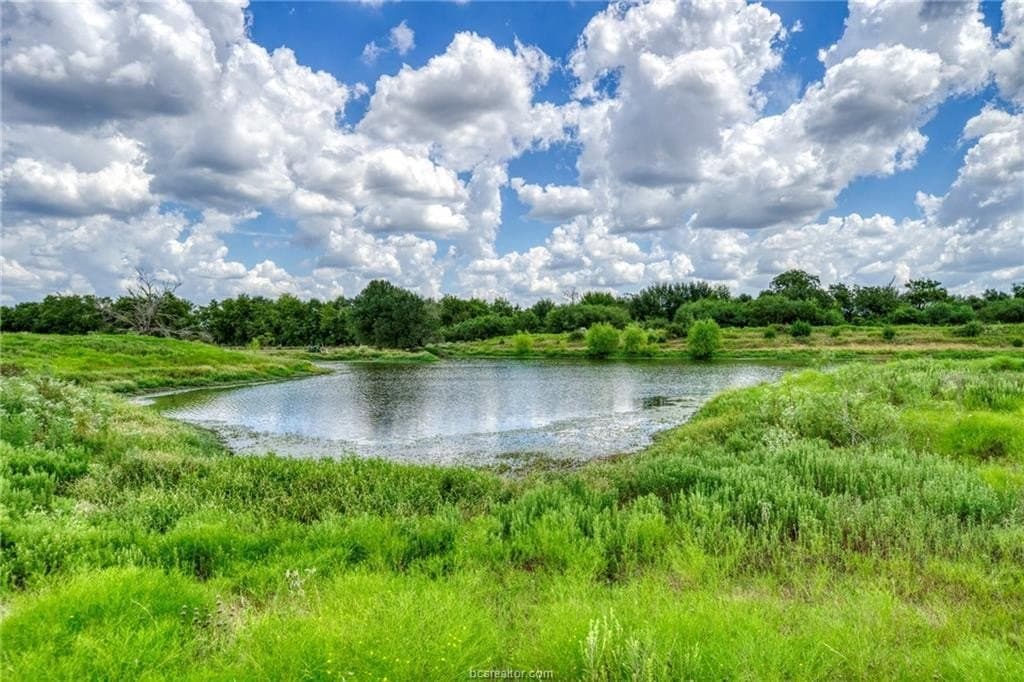 523.41 acres in Robertson County - photo 14