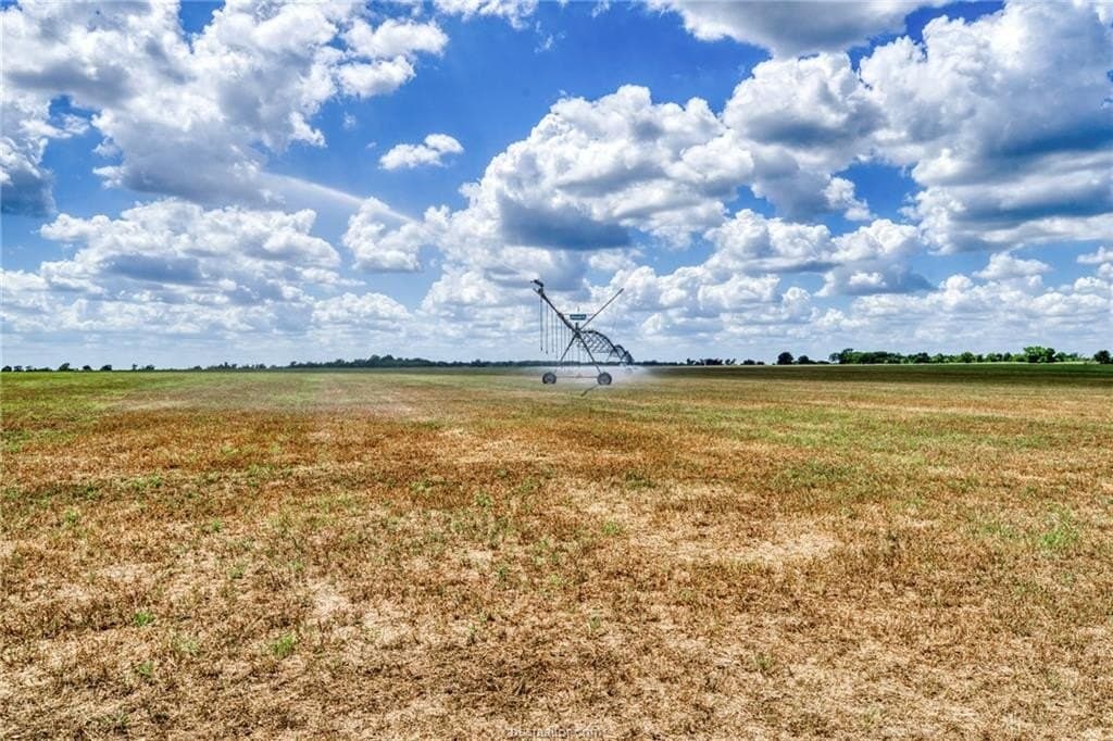 523.41 acres in Robertson County - photo 25