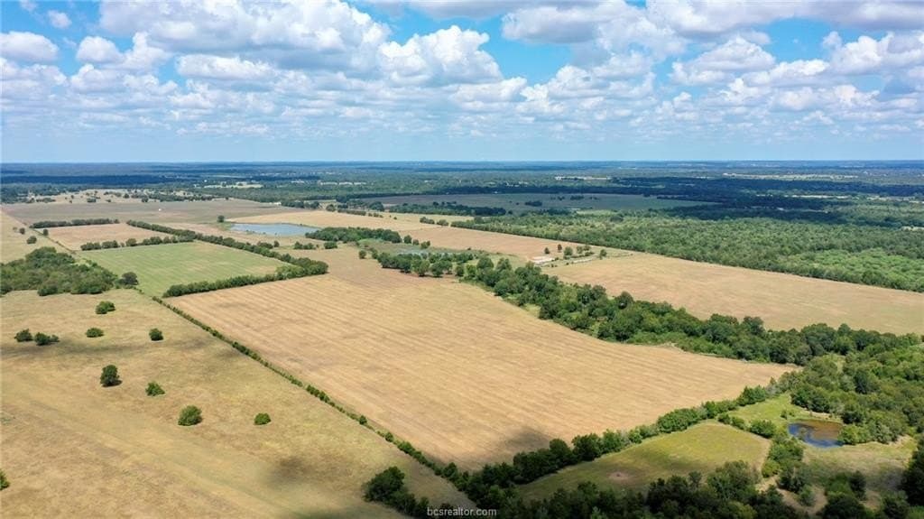 523.41 acres in Robertson County - photo 40