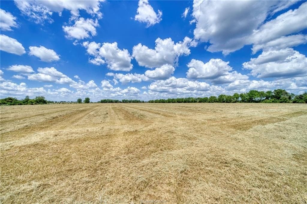 523.41 acres in Robertson County - photo 30