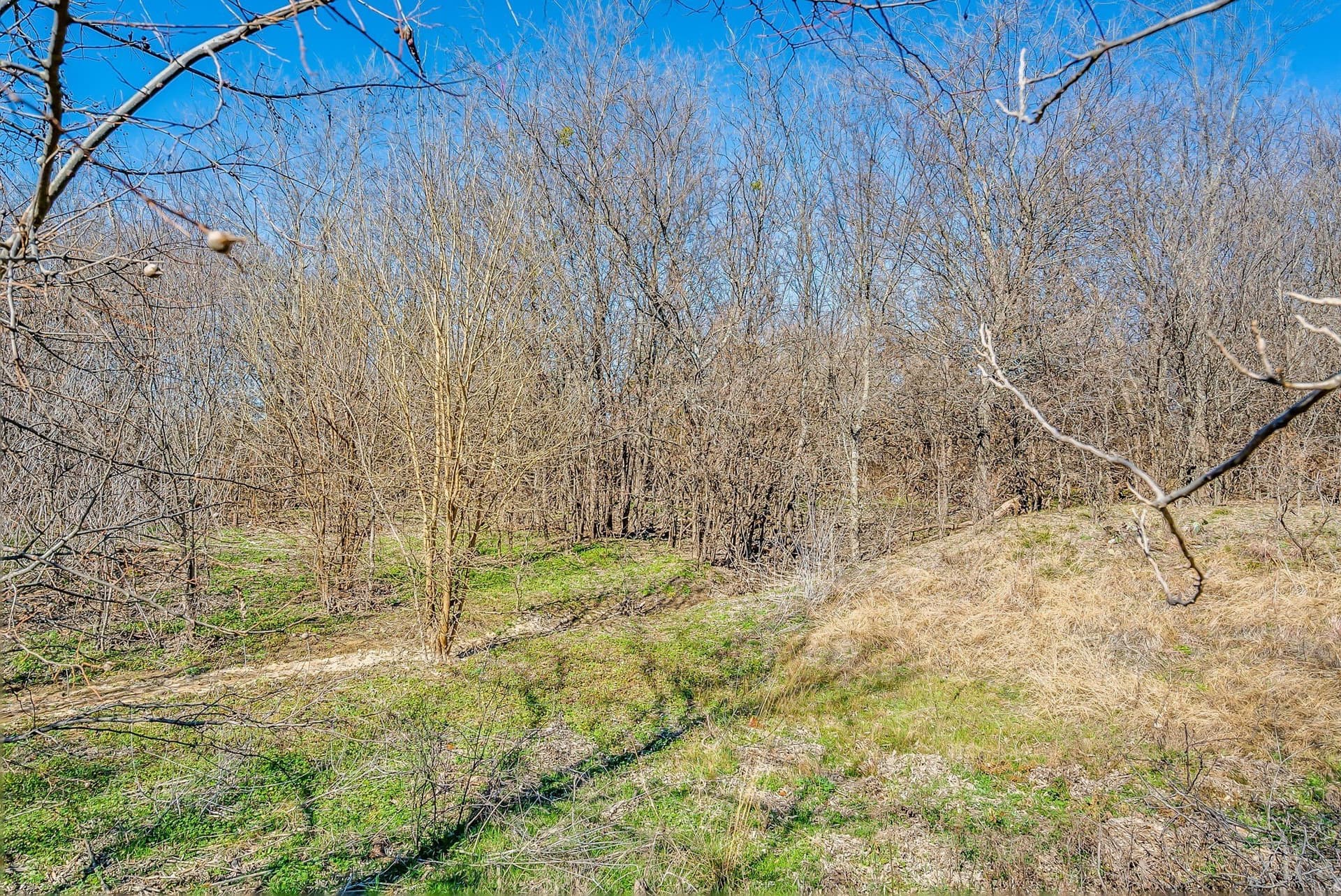 66.77 acres in Parker County - photo 27