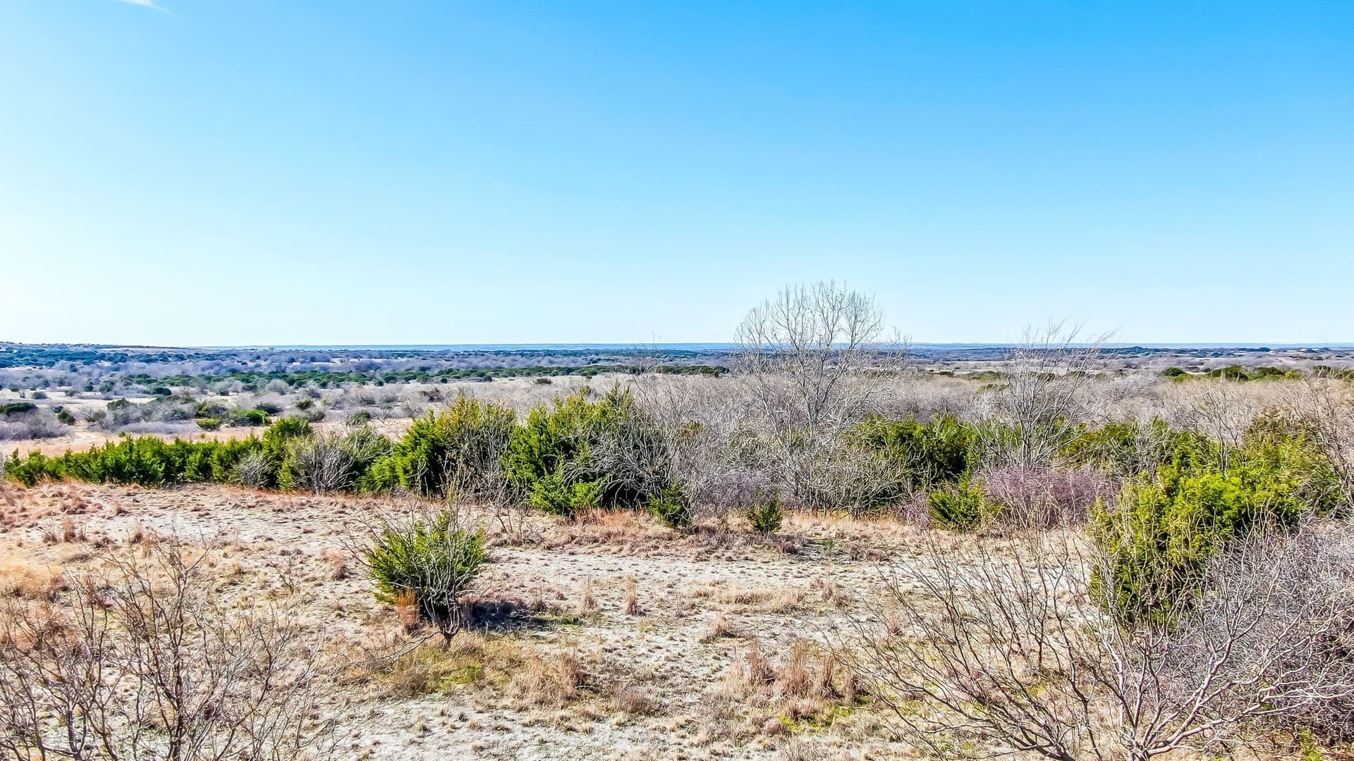 66.77 acres in Parker County - photo 10