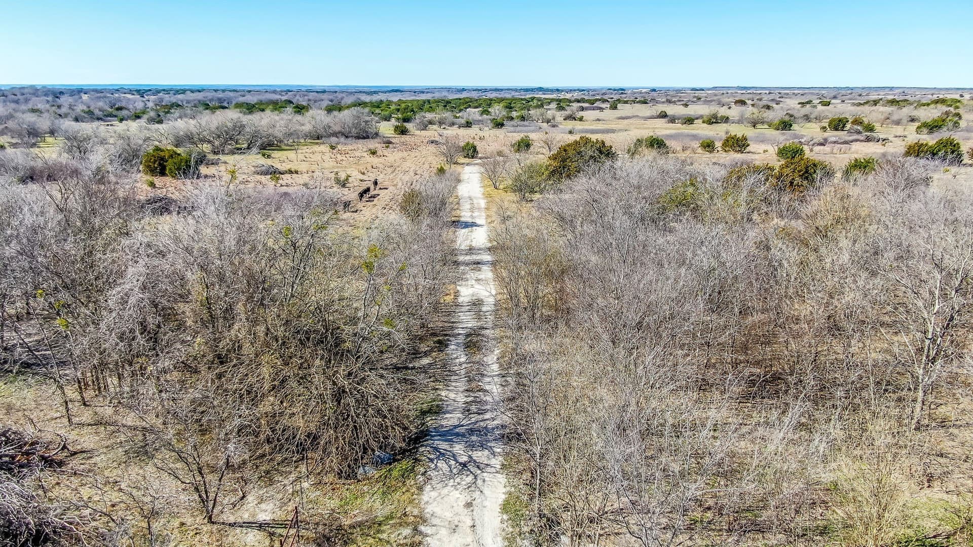 66.77 acres in Parker County - photo 6