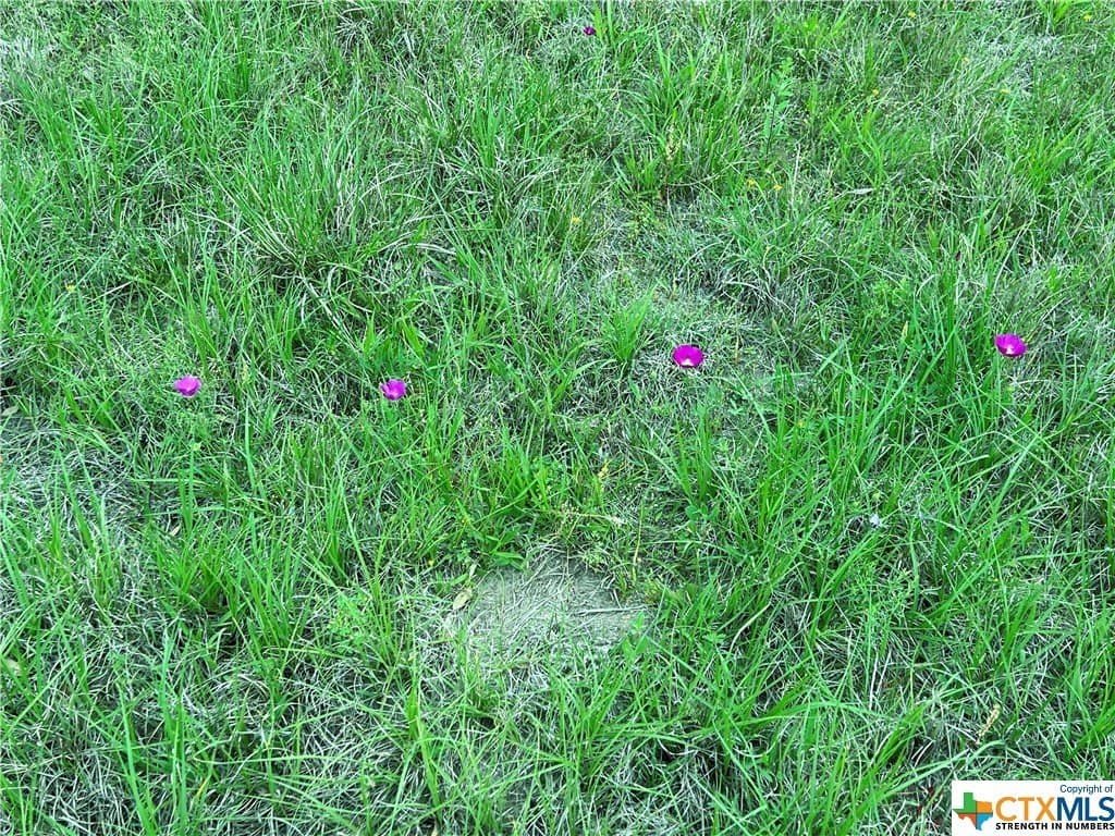 1.07 acres in Lavaca County gallery image 4