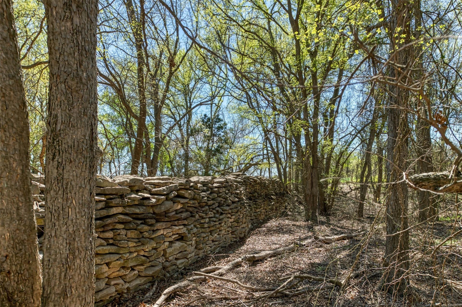 48 acres in Erath County - photo 30