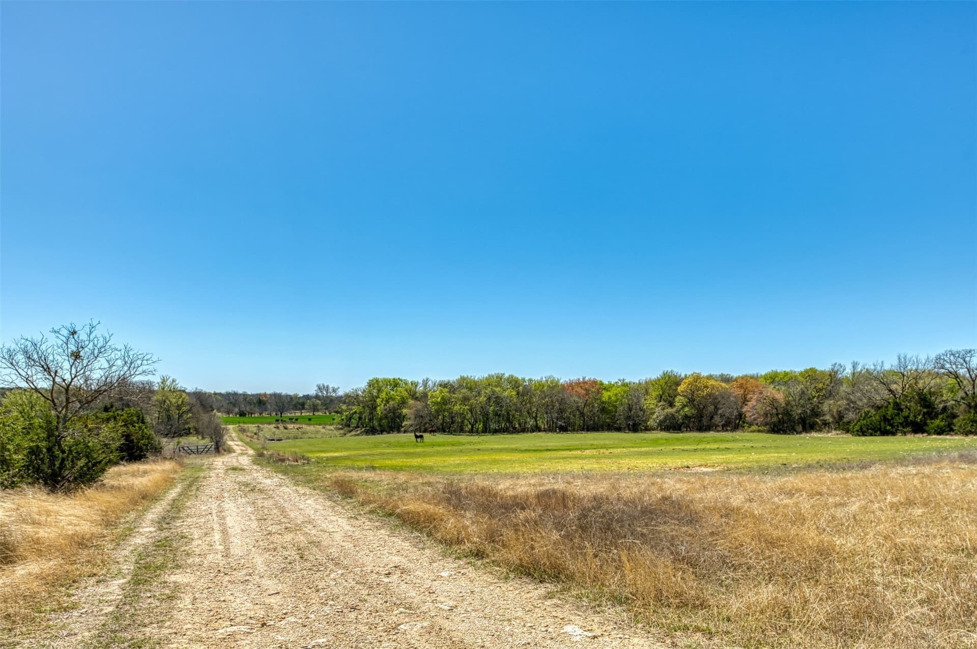 48 acres in Erath County - photo 33