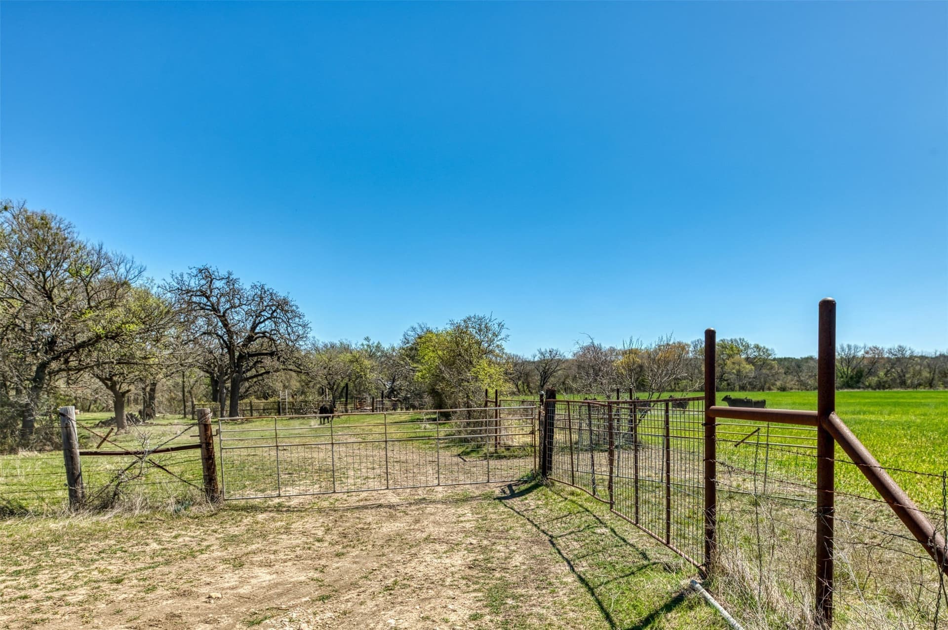48 acres in Erath County - photo 36