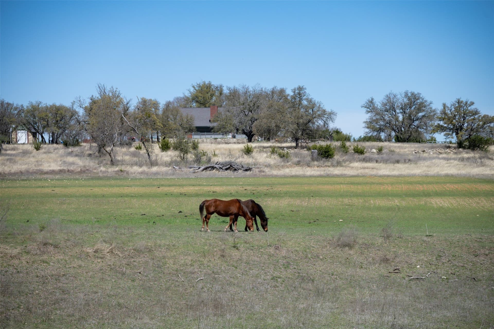 48 acres in Erath County - photo 37