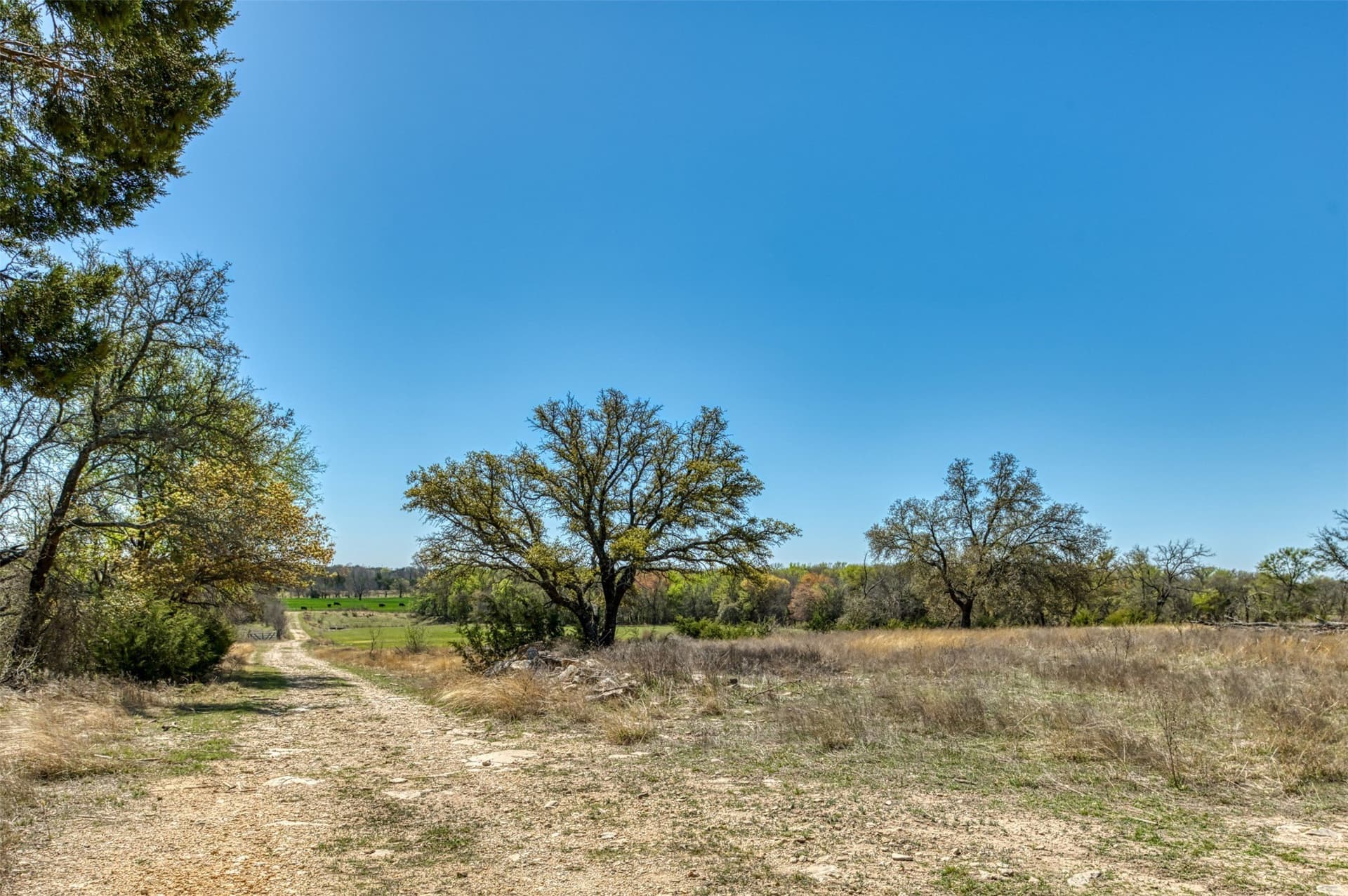 48 acres in Erath County - photo 32