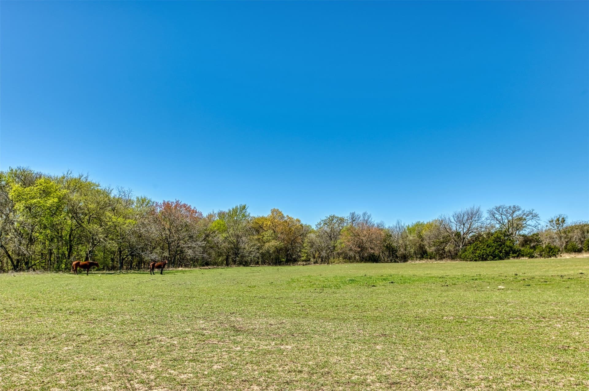48 acres in Erath County - photo 35