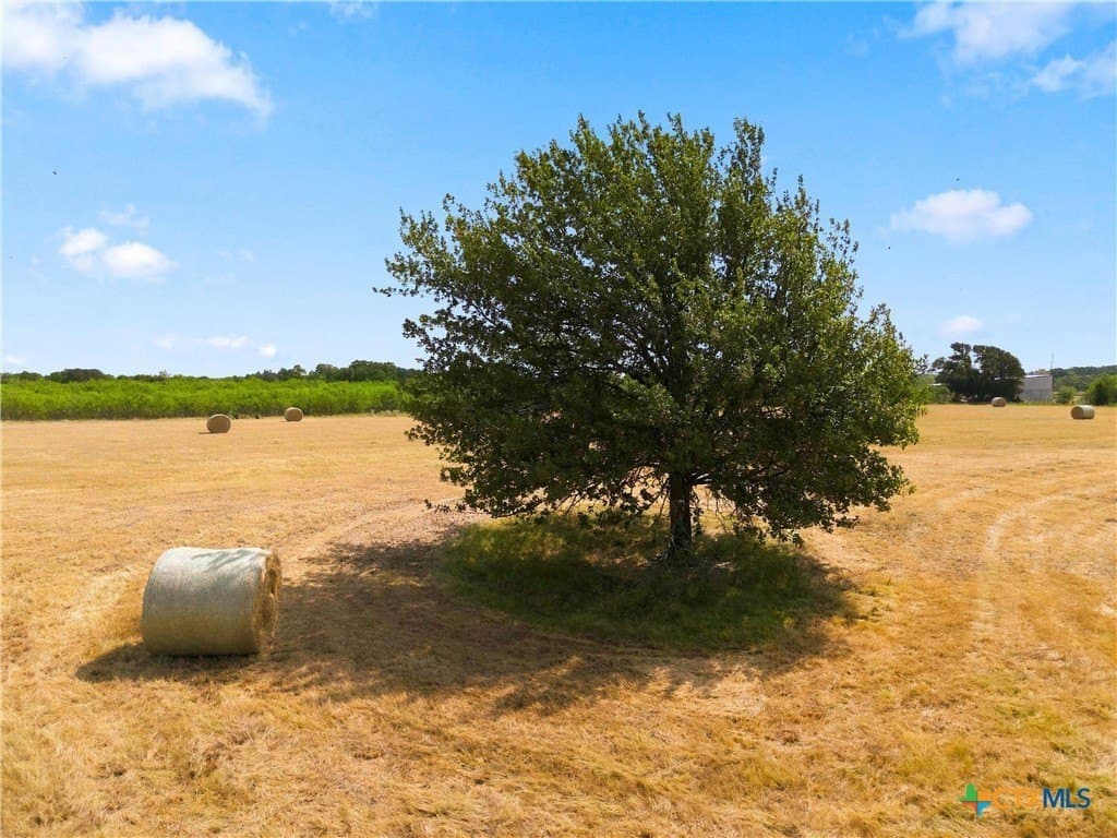 37.72 acres in Falls County - photo 11