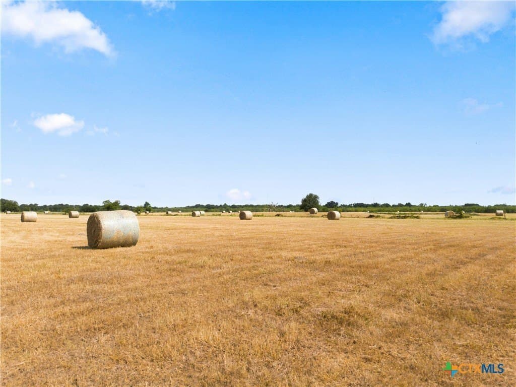 37.72 acres in Falls County - photo 8