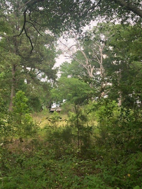 6.09 acres in Texas County - photo 10
