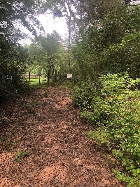 6.09 acres in Texas County featured view