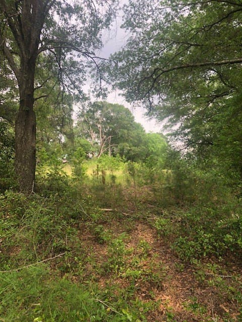 6.09 acres in Texas County - photo 6