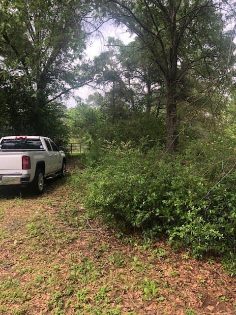 6.09 acres in Texas County - photo 9