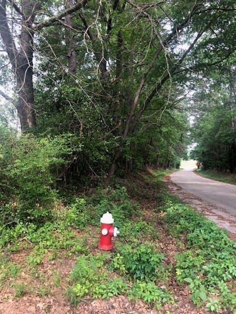 6.09 acres in Texas County - photo 7
