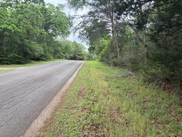 0.22 acres in Leon County gallery image 4