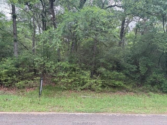 0.22 acres in Leon County