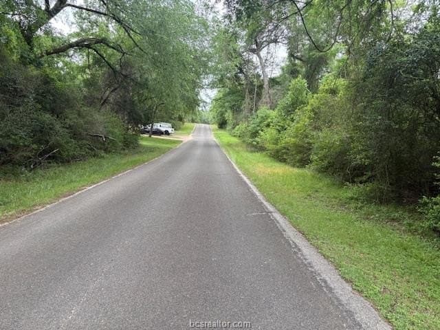 0.22 acres in Leon County gallery image 3