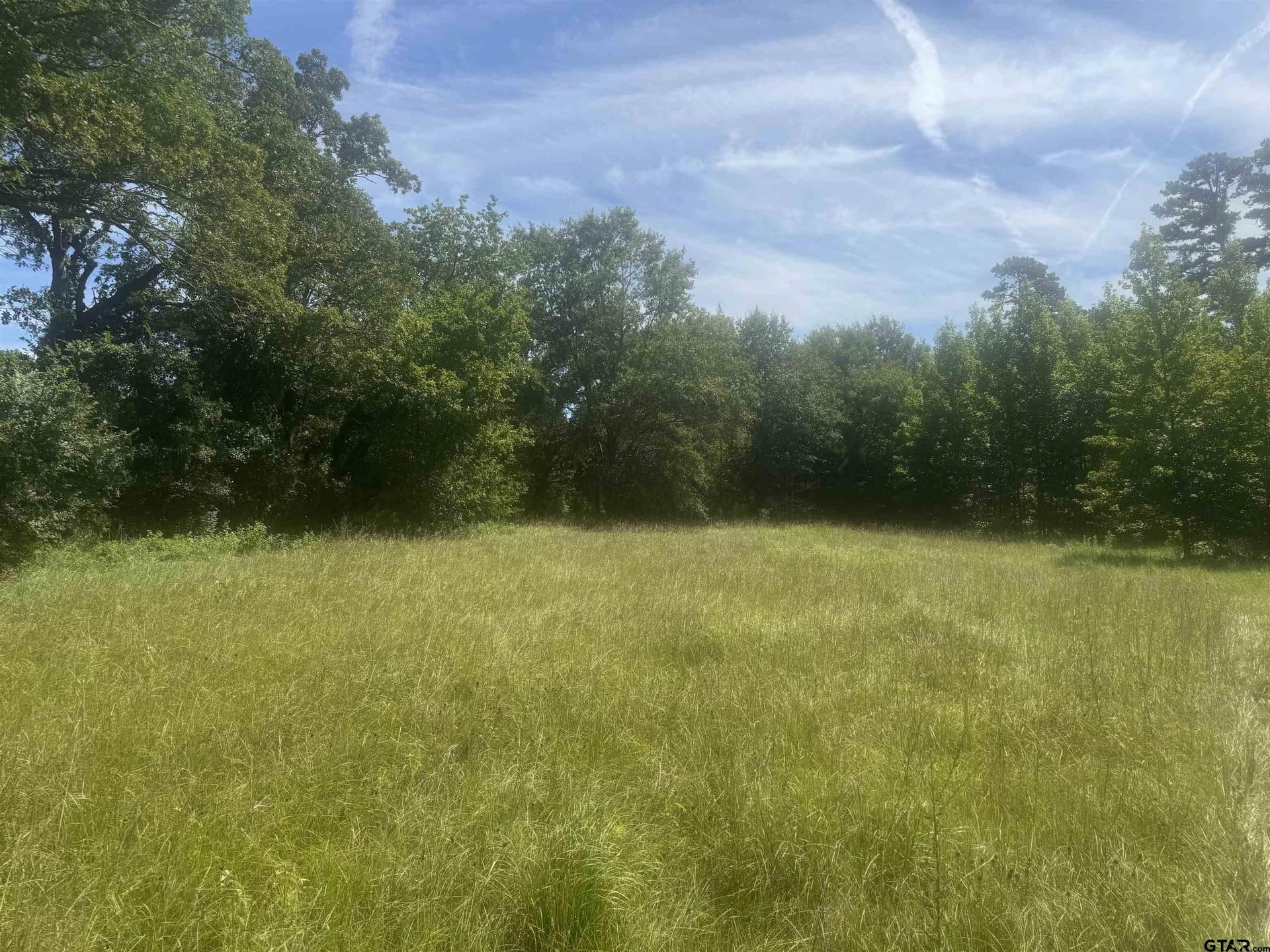 20.87 acres in Wood County gallery image 4