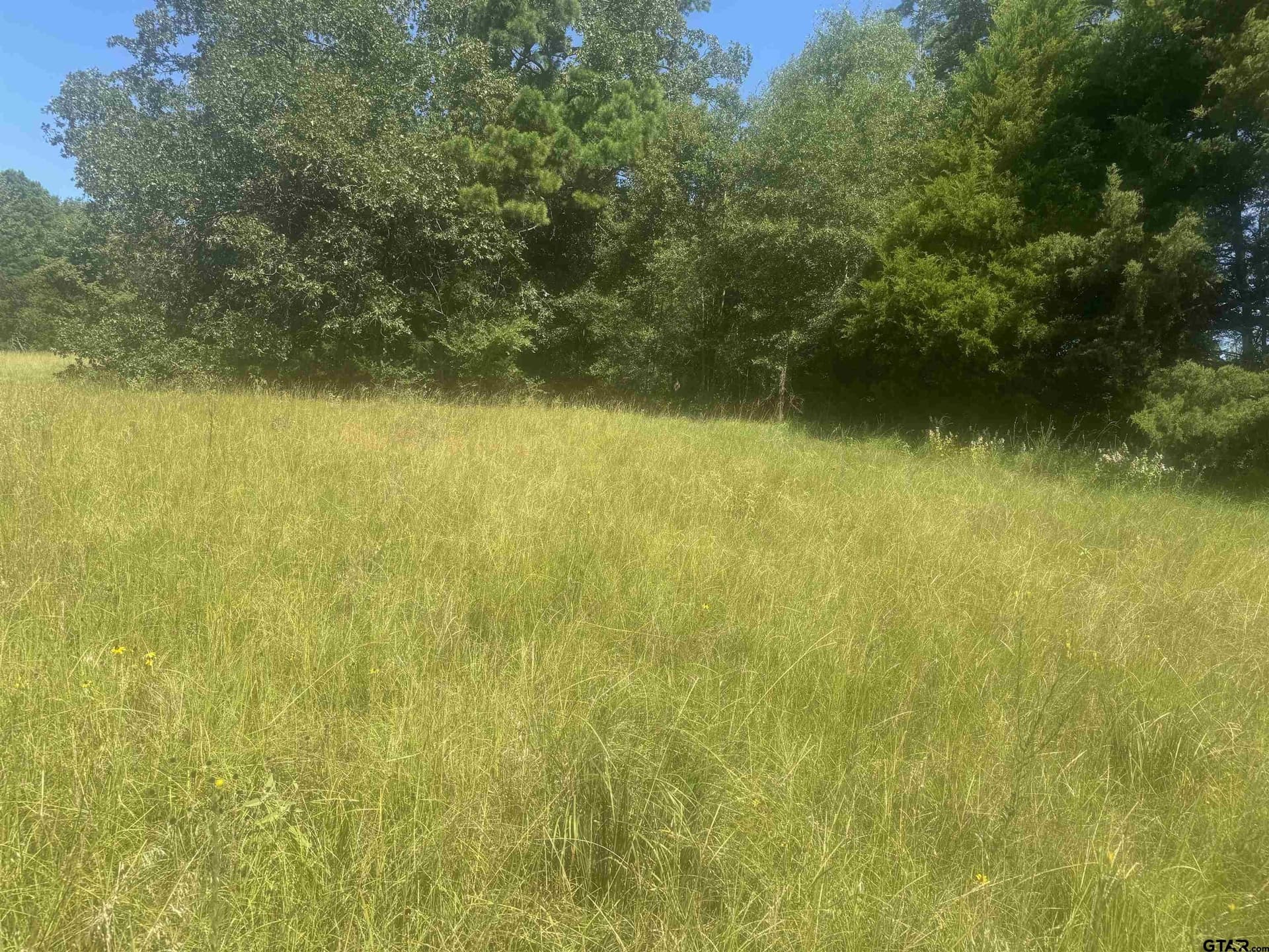 20.87 acres in Wood County featured view