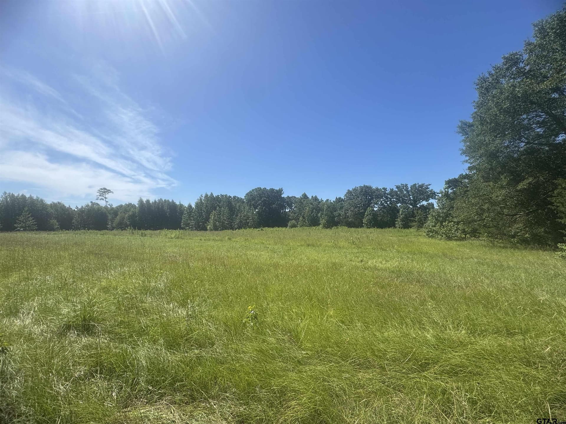 20.87 acres in Wood County gallery image 3