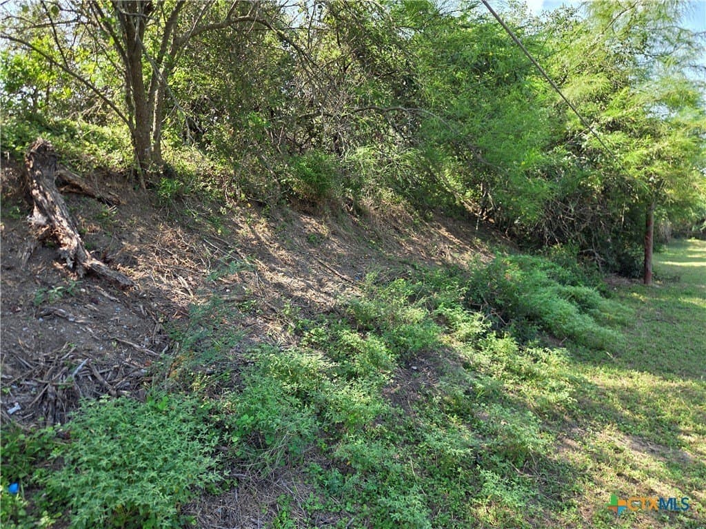 69.59 acres in Victoria County - photo 23