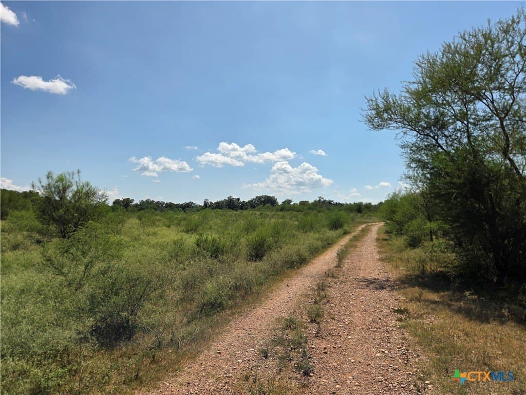 69.59 acres in Victoria County - photo 28