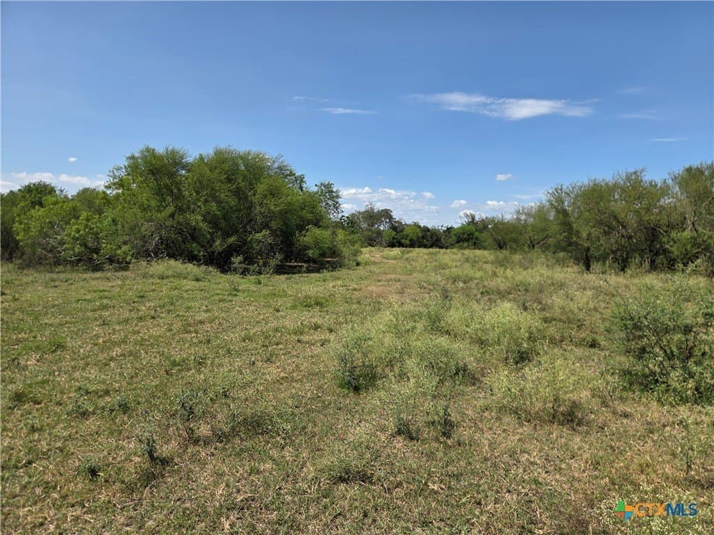 69.59 acres in Victoria County - photo 30