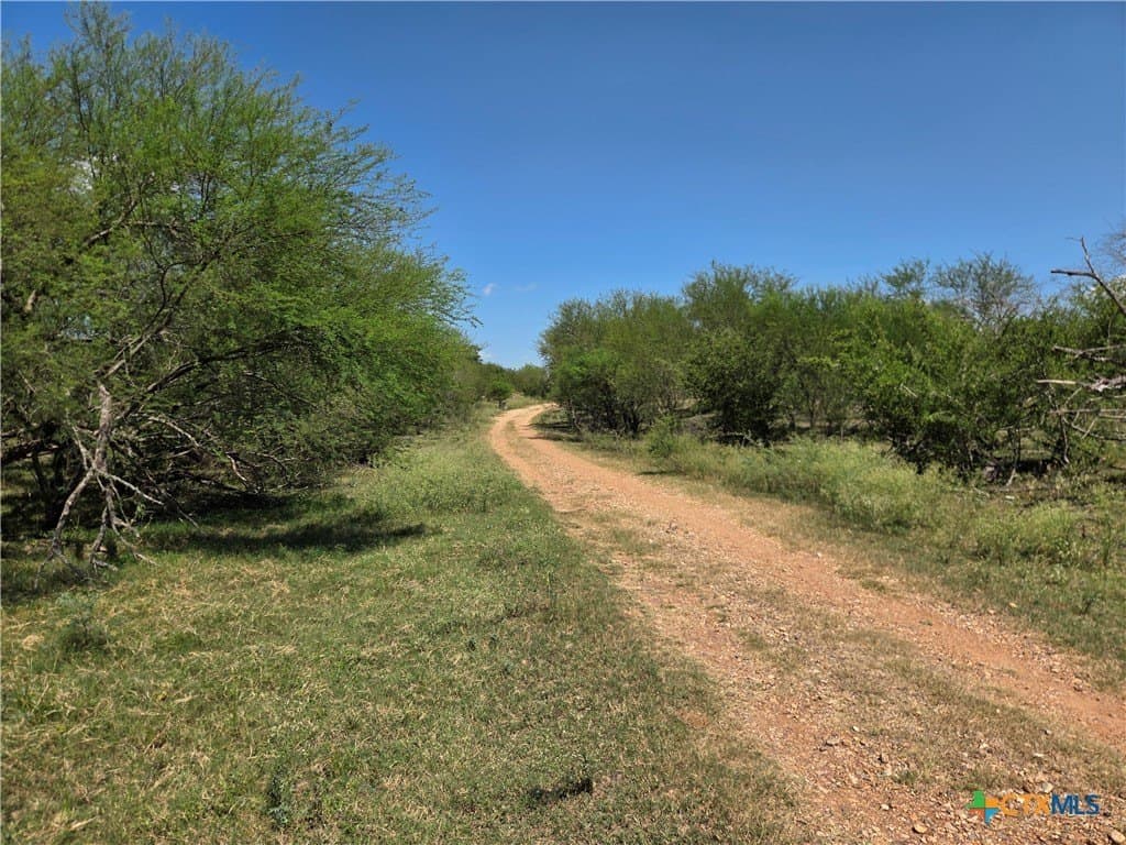 69.59 acres in Victoria County - photo 29